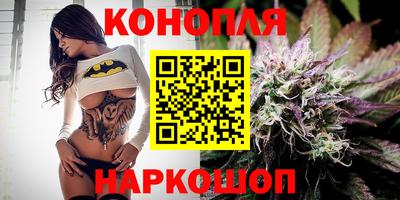 индика Краснознаменск