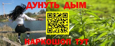 индика Краснознаменск
