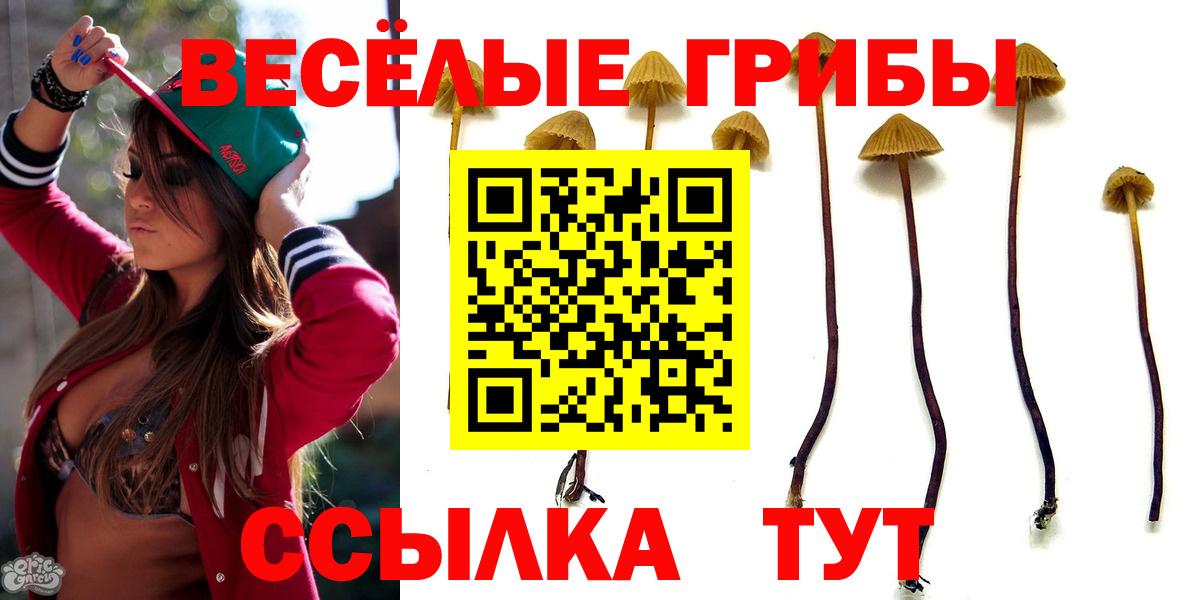 Кувандык  Галлюциногенные грибы ЛСД  Вход с VPN  Галлюциногенные грибы Magic Shrooms 